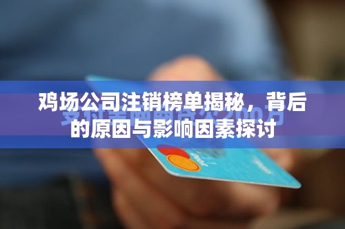林下风气 第3页