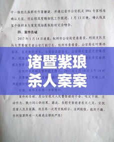 雍容华贵 第3页