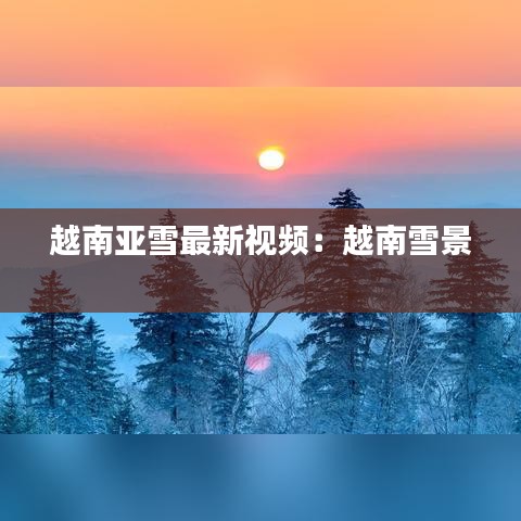 张皇铺饰 第2页
