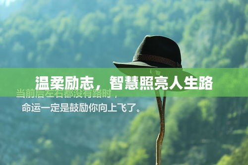 夯雀儿先飞 第2页