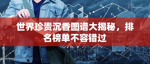 雅量高致 第2页