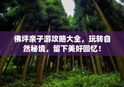 佛坪亲子游攻略大全，玩转自然秘境，留下美好回忆！