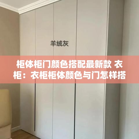 柜体柜门颜色搭配最新款 衣柜：衣柜柜体颜色与门怎样搭配 