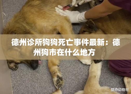 风韵犹存 第2页