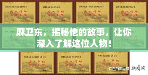 麻卫东，揭秘他的故事，让你深入了解这位人物！