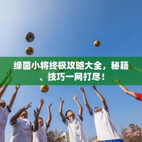 绿茵小将终极攻略大全，秘籍、技巧一网打尽！