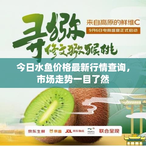 飞奇钩货 第2页