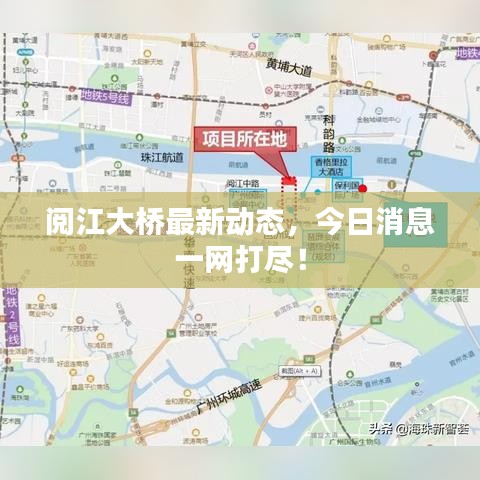 阅江大桥最新动态，今日消息一网打尽！
