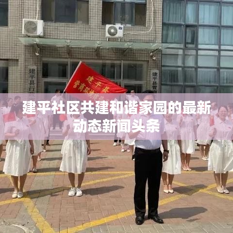 建平社区共建和谐家园的最新动态新闻头条