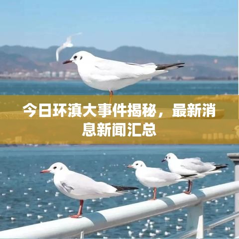 今日环滇大事件揭秘，最新消息新闻汇总