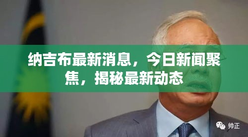 纳吉布最新消息，今日新闻聚焦，揭秘最新动态