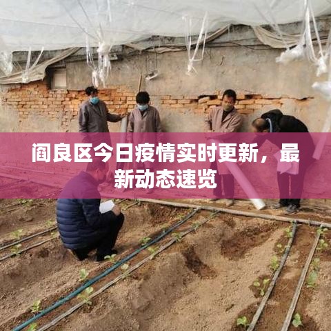 阎良区今日疫情实时更新，最新动态速览