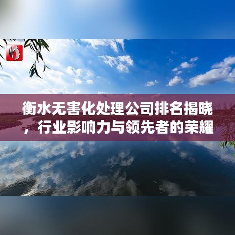 衡水无害化处理公司排名揭晓，行业影响力与领先者的荣耀