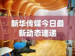 产品中心 第498页