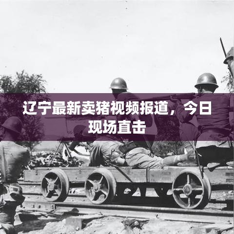 随圆就方 第2页