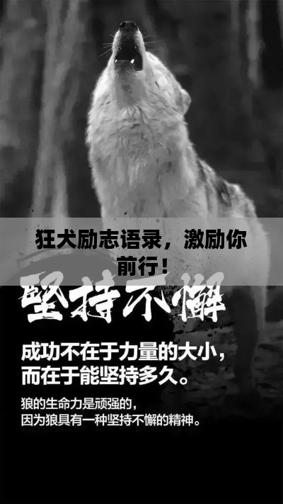 狂犬励志语录，激励你前行！