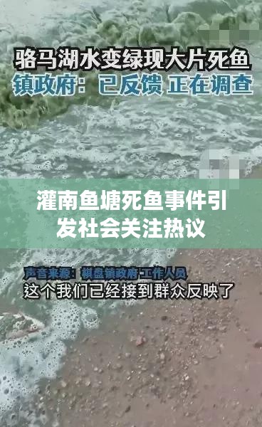 灌南鱼塘死鱼事件引发社会关注热议