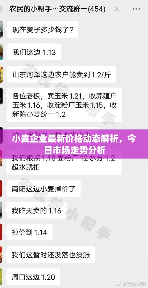 勇往直前 第2页