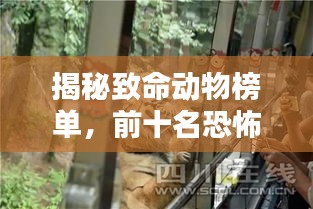 揭秘致命动物榜单，前十名恐怖猛兽排名！