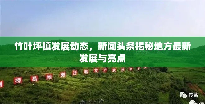 竹叶坪镇发展动态，新闻头条揭秘地方最新发展与亮点