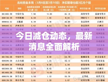 今日减仓动态，最新消息全面解析