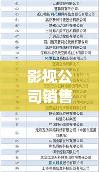 影视公司销售额排名揭秘，行业巨头背后的成功秘诀