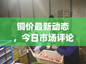 斗志昂扬 第2页