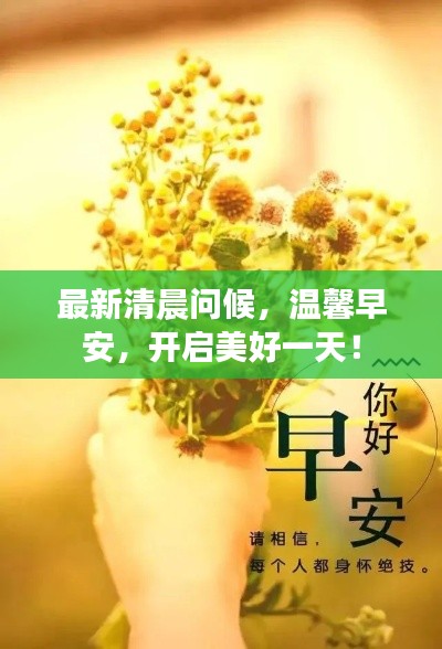衣不完采 第2页