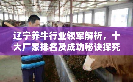 展翅欲飞 第2页