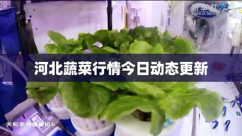 乌鸟之情 第2页