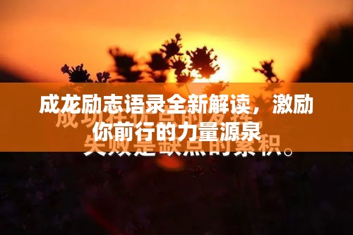 成龙励志语录全新解读，激励你前行的力量源泉