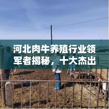 雪中送炭 第2页