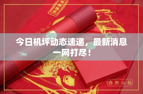 今日机坪动态速递，最新消息一网打尽！