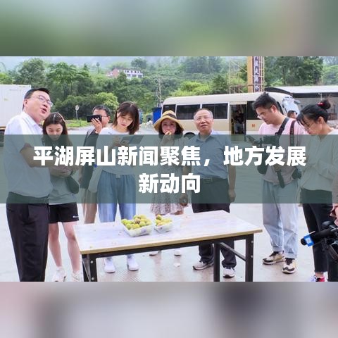 平湖屏山新闻聚焦，地方发展新动向