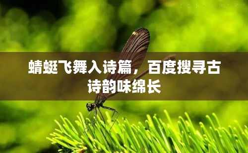竭尽全力 第2页