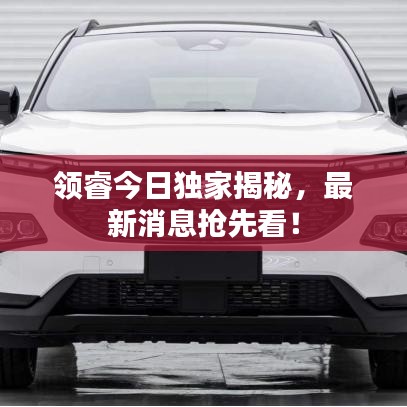 领睿今日独家揭秘，最新消息抢先看！
