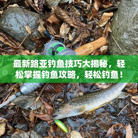 最新路亚钓鱼技巧大揭秘，轻松掌握钓鱼攻略，轻松钓鱼！