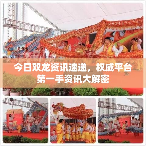 今日双龙资讯速递，权威平台第一手资讯大解密