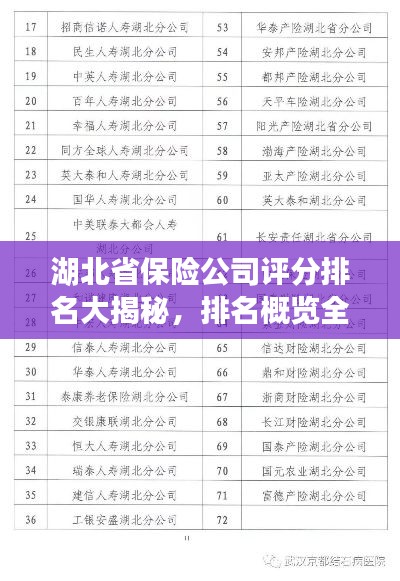 湖北省保险公司评分排名大揭秘，排名概览全解析！