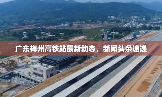 贵不期骄 第2页