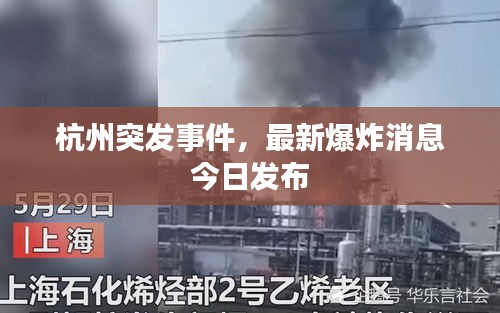 杭州突发事件，最新爆炸消息今日发布