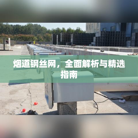 司空见惯 第2页