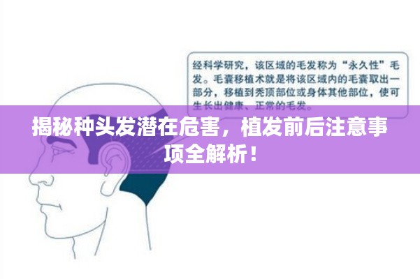 布被瓦器 第2页