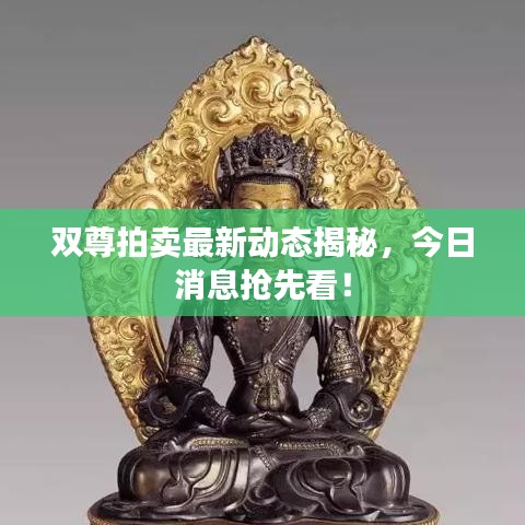 双尊拍卖最新动态揭秘，今日消息抢先看！