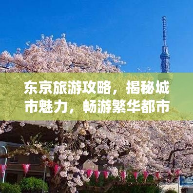 东京旅游攻略，揭秘城市魅力，畅游繁华都市