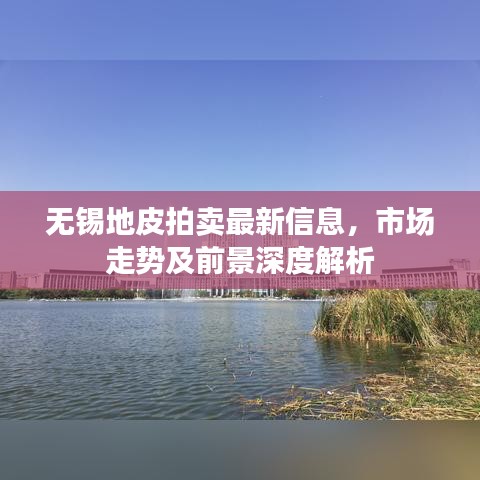 无锡地皮拍卖最新信息，市场走势及前景深度解析