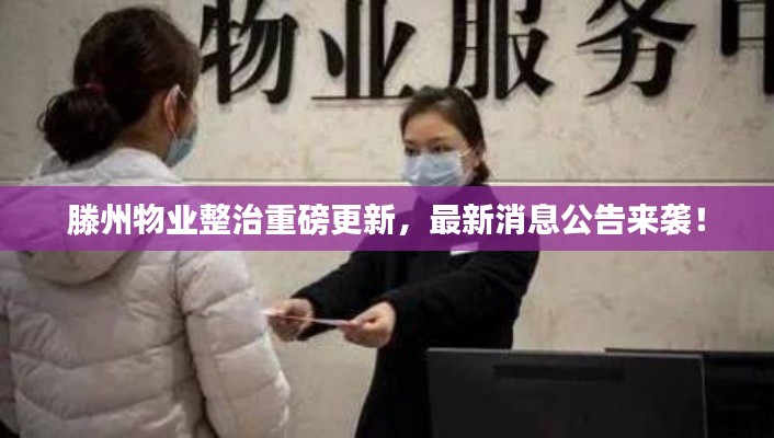 步履如飞 第2页