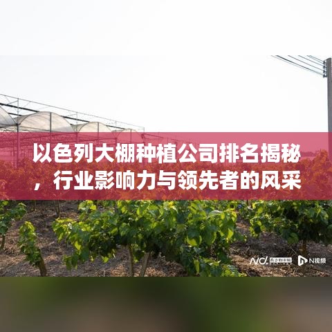以色列大棚种植公司排名揭秘，行业影响力与领先者的风采