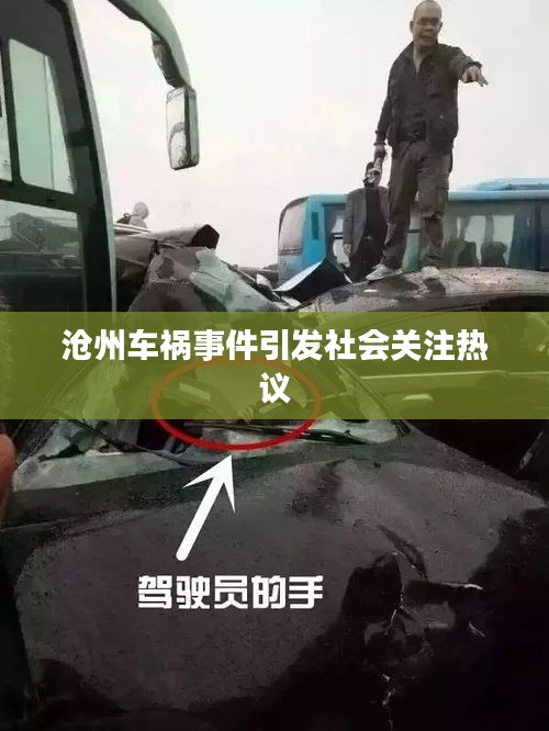 沧州车祸事件引发社会关注热议