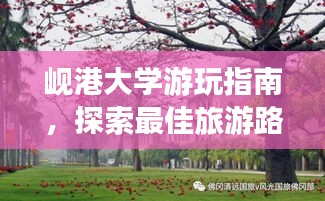 岘港大学游玩指南，探索最佳旅游路线，尽享校园美景！